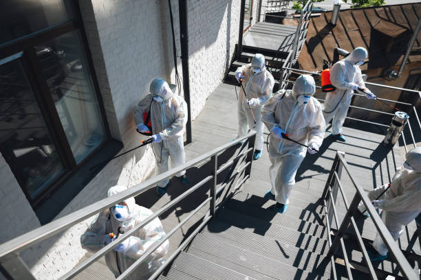 Best Water Damage & Mold Remediation  in Scobey, MT