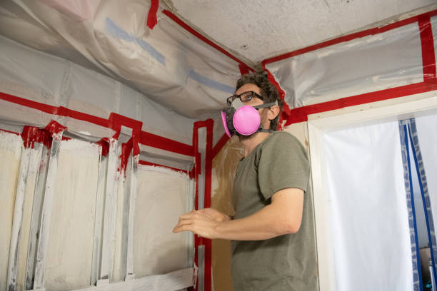 Reliable Scobey, MT Mold Removal Solutions