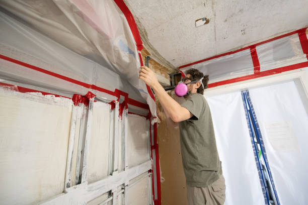 Best Environmental Consulting for Mold Prevention  in Scobey, MT