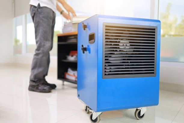 Best HVAC Mold Inspection and Cleaning  in Scobey, MT