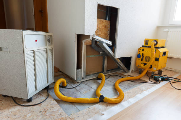 Best Crawl Space Mold Remediation  in Scobey, MT