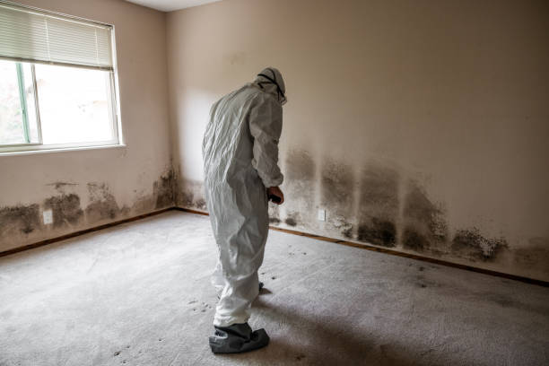 Mold Removal for HVAC Installations in Scobey, MT